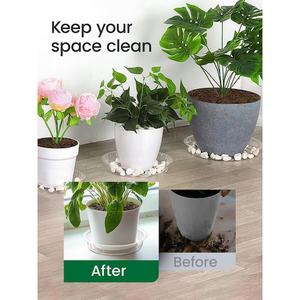 Clear Plastic Plant Saucers with 15 Labels 1.3 in. Flower Pot Drip