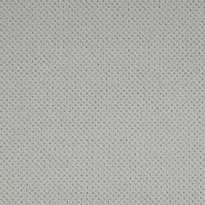 Abbottsgate Ice Wall Gray 44 oz. Triexta Patterned Installed Carpet