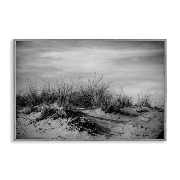 Stupell Industries Point Reyes Beach Dunes by Crystal Lynn Collins Gray Framed Nature Giclee Art Print 16 in. x 24 in.