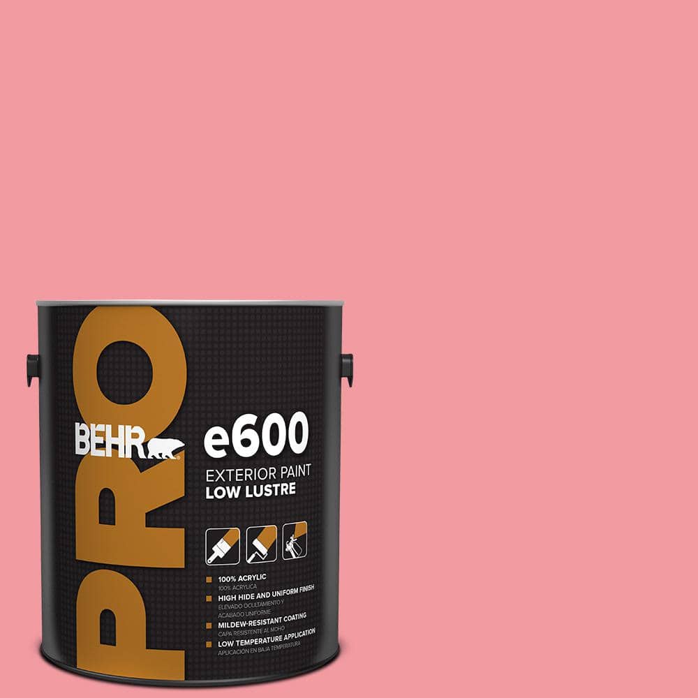 1 gal. #130B-4 Primrose Garden Low Luster Exterior Paint price history on PriceWatchPro