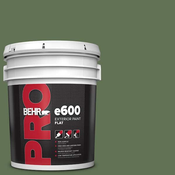 BEHR PRO 5 gal. #QE-39 Willow Leaf Flat Exterior Paint