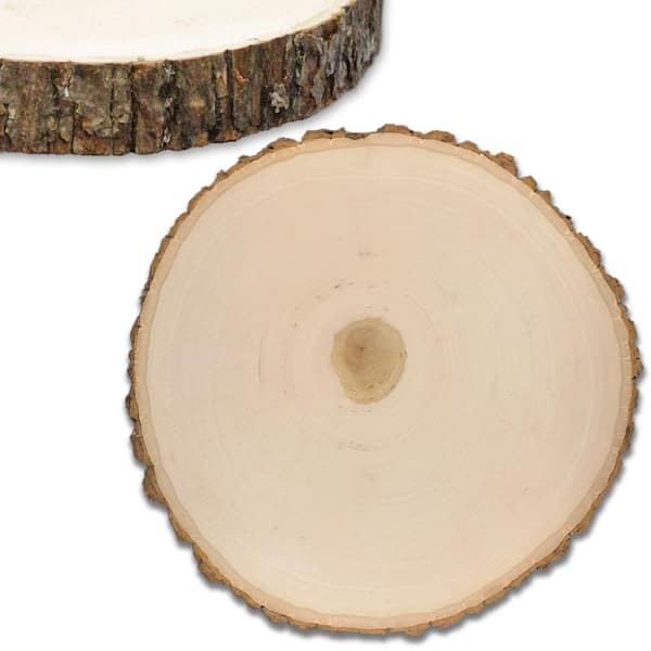 WILSON 1.625 in. x 1 1/6 ft. x 1 1/6 ft. Basswood Thick Wood Round Slices Project Panel (4-Pack) (40004)
