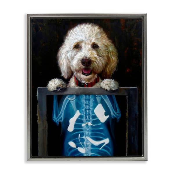 Stupell Industries Funny Dog X-Ray Snacks by Lucia Heffernan 1-Piece Gray Floater Frame Animal Graphic Art Print 25 in. x 31 in.