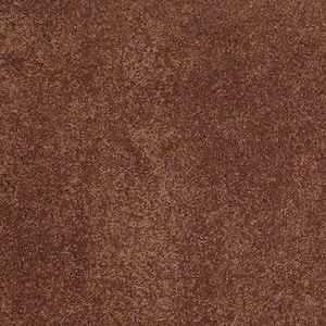 Coral Reef I - New Brick - Orange 65.5 oz. Nylon Texture Installed Carpet