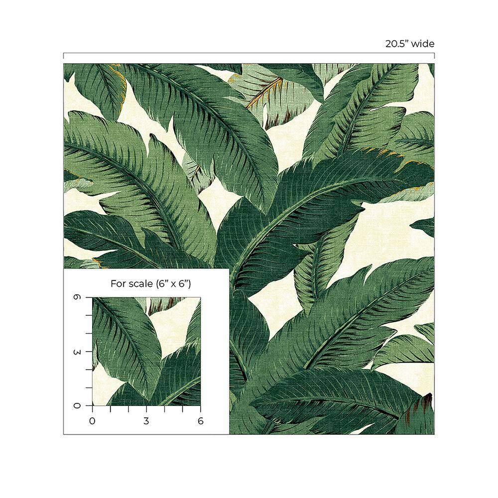 Aloe Green Tropical Palm Peel & Stick Wallpaper Roll