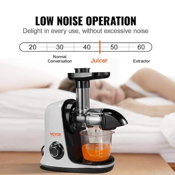 VEVOR Slow Masticating Juicer, Cold Press Juicer Machine