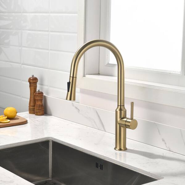 RAINLEX Single Handle Pull-Down Sprayer Kitchen Faucet in Brushed