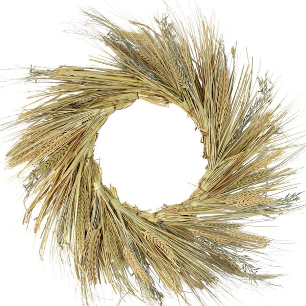 Northlight 22 in. Artificial Unlit Autumn Harvest Wheat Grass and Grapevine Thanksgiving Fall Wreath