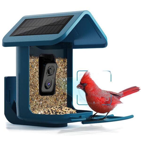 Phewnyzo Blue ABS-Plastic Solar Powered 2.4GHz WiFi Bird Camera Bird Feeder 1.8 Liters 1-Pack