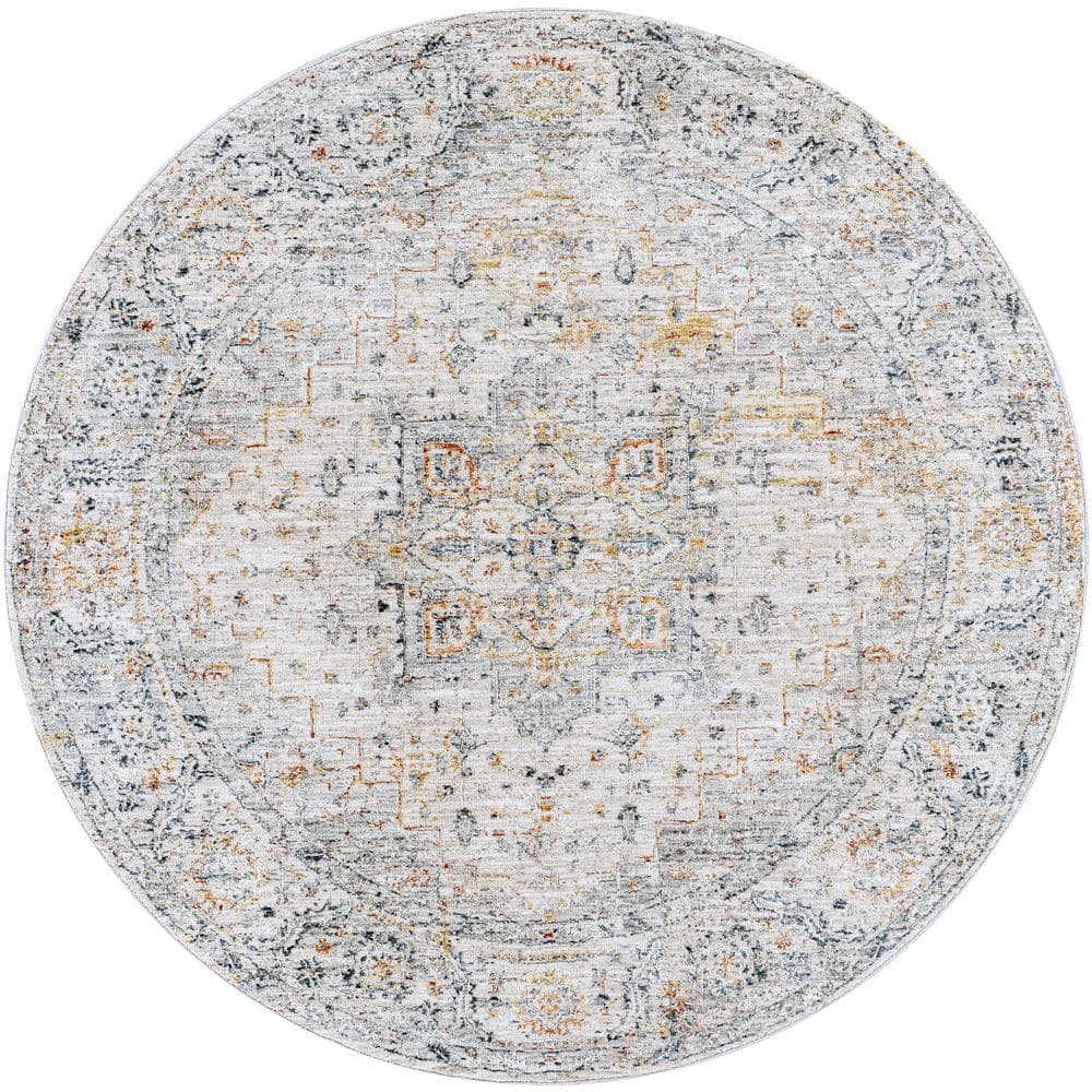 Ainhoa Light Doormat 3 ft. x 4 ft. Indoor Area Rug price history on PriceWatchPro