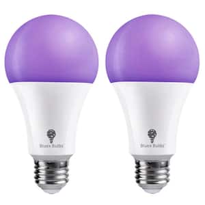 120-Watt Equivalent A21 Decorative Indoor/Outdoor LED Light Bulb in Black (2-Pack)