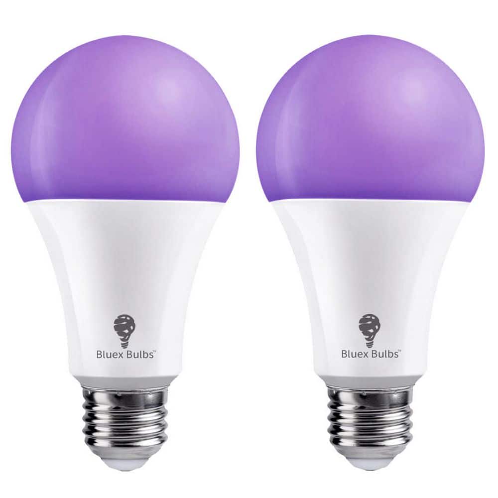 120-Watt Equivalent A21 Decorative Indoor/Outdoor LED Light Bulb in Black (2-Pack) price history on PriceWatchPro