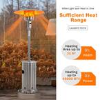 48,000 BTU Silver Stainless Steel Propane Patio Heater with Wheels