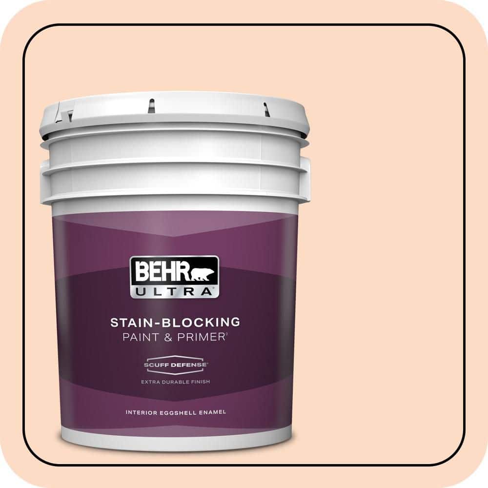 5 gal. #250C-2 Sugared Peach Extra Durable Eggshell Enamel Interior Paint & Primer price history on PriceWatchPro