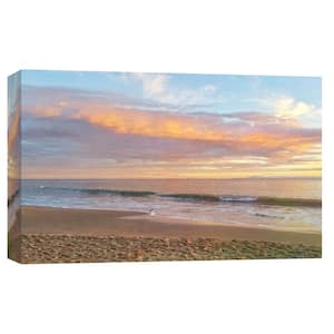 10 in. x 12 in. ''Butterfly Beach Seascape '' Printed Canvas Wall Art