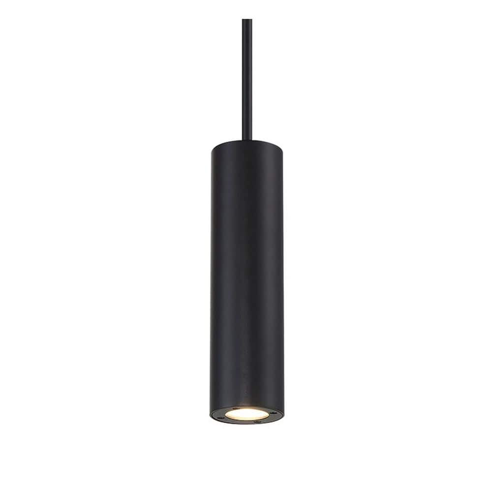Black LED Indoor/Outdoor Pendant Light