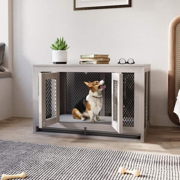 what is the best dog crate to buy