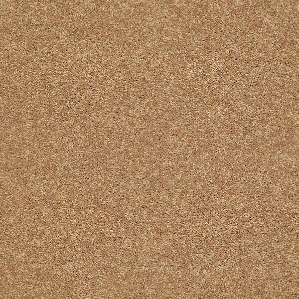 Home Decorators Collection Carpet Sample - Slingshot III - In Color Honeycomb 8 in. x 8 in.
