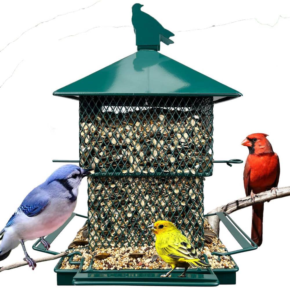 heavy-duty Green Metal Multiple Bird Species Seed Feeder - 6.5 lbs. 1-Pack