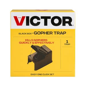 Black Box Outdoor Gopher Trap