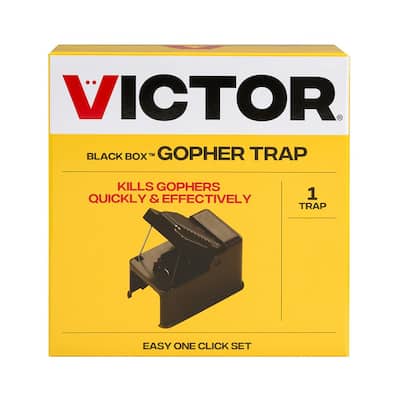 Black Box Outdoor Gopher Trap