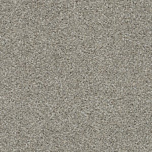 Cozy Cloud-Comfy Beige-45 Oz. SD Polyester Texture Installed Carpet