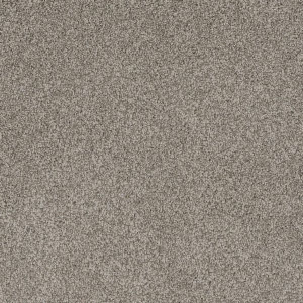 Westchester I - Whisper - Beige 50 oz. Polyester Texture Installed Carpet