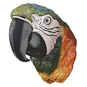 10 in. H Paradise Parrot Head Wall Sculpture
