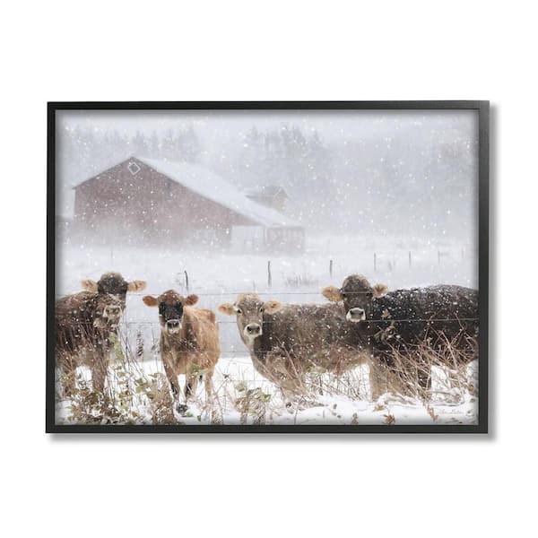 The Stupell Home Decor Collection Winter Farm Scene Cow Cattle Snowflakes Barn Design By Lori Deiter Framed Animal Art Print 20 in. x 16 in.