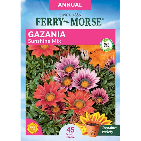 Ferry-Morse Gazania Sunshine Mix Flower Seed