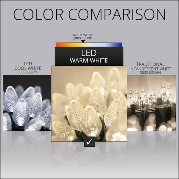 Wintergreen Lighting 24 ft. 70-Light Blue 5 mm LED Mini Light Set 20353 -  The Home Depot