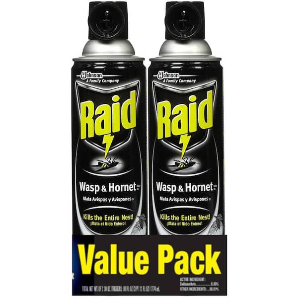 Raid 14 oz. Wasp and Hornet Killer Twin Pack