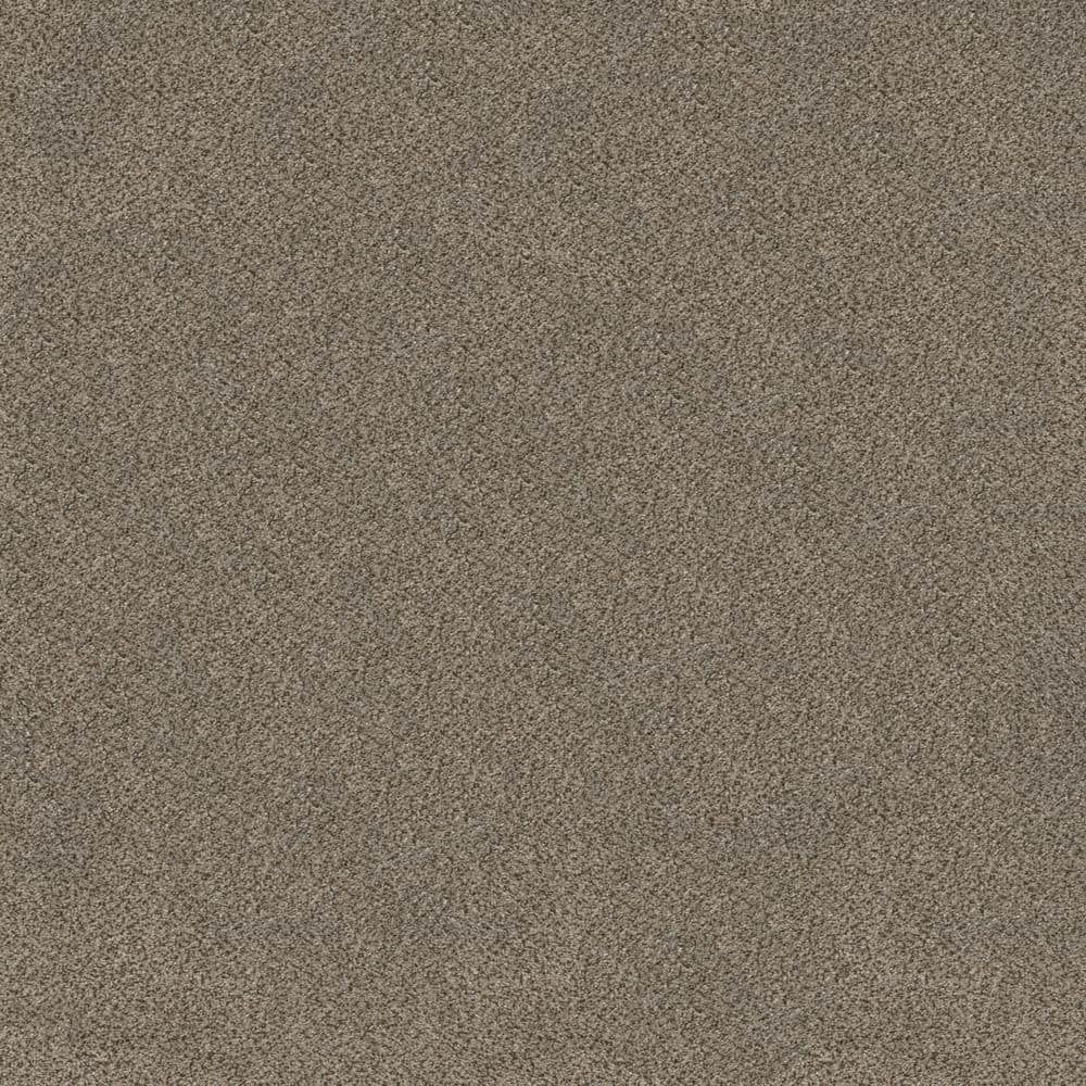 8 in x 8 in.  Texture Carpet Sample - Columbus I - Color Coco price history on PriceWatchPro