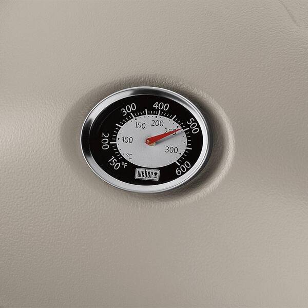 Weber - Q 1200 1-Burner Portable Tabletop Propane Gas Grill in Fuchsia with Built-In Thermometer