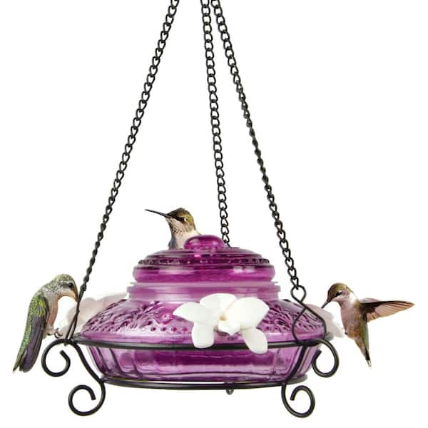 Plum Antique Top-Fill Hummingbird Glass Feeder 14 oz.