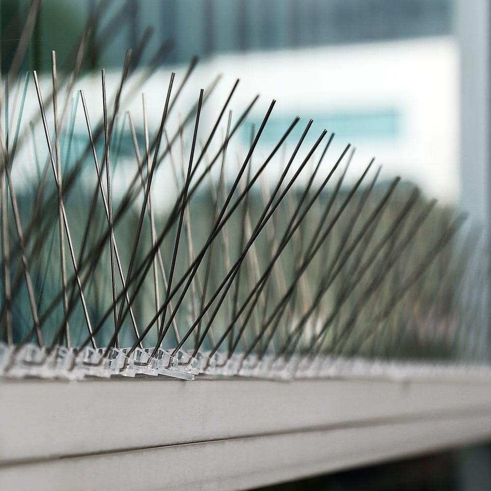 10 ft Stainless Steel Bird Spikes with UV-Protected Polycarbonate Base