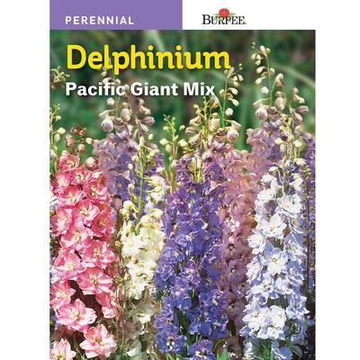 Perennial Plant Seeds Garden Center The Home Depot