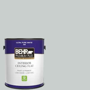 1 gal. #720E-2 Light French Gray Ceiling Flat Interior Paint