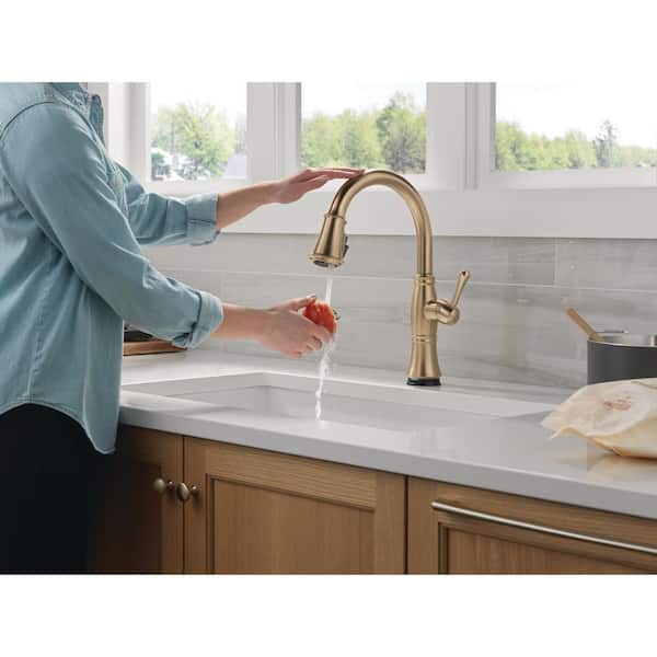 Delta Cassidy Gold Touch/Touchless Champagne Bronze 16 in. H Pull