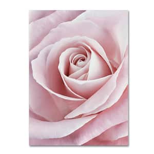 19 in. x 12 in. "Pink Rose" by Cora Niele Printed Canvas Wall Art
