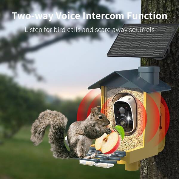 N/A 2K HD Smart Bird Feeder Camera with AI Bird Species