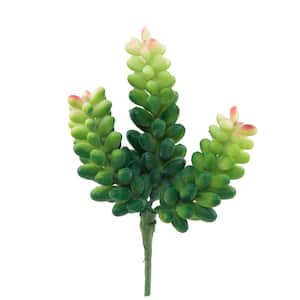 Set of 12 Donkey Tail Artificial Desktop Succulent Plant