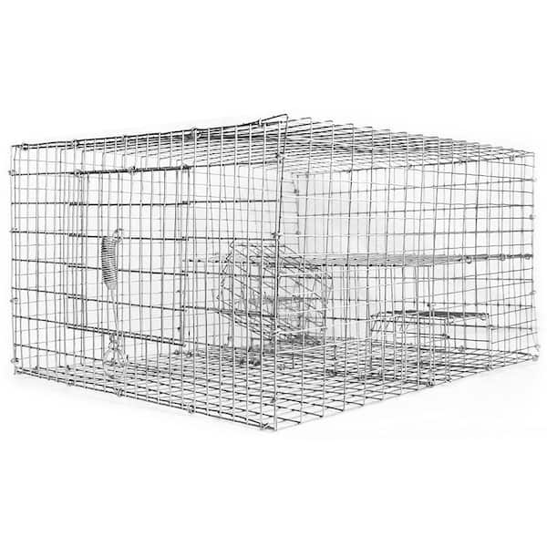 Bird B Gone Sparrow Trap with Two Chambers (8 in. x 12 in. x 16 in