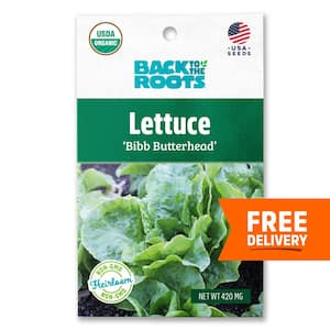 Organic Bibb Butterhead Lettuce Seed (1-Pack)