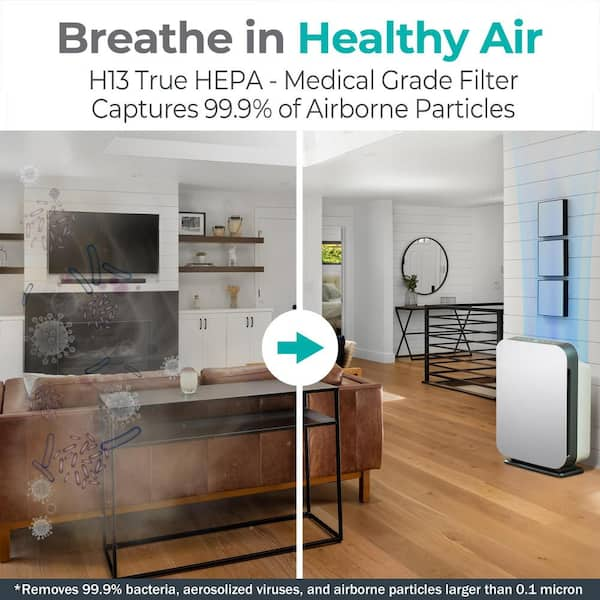 Air Purifiers for Bedroom with H13 True HEPA Air Filter