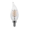 ecosmart-edison-bulbs-ba11c7e12827s-64.0
