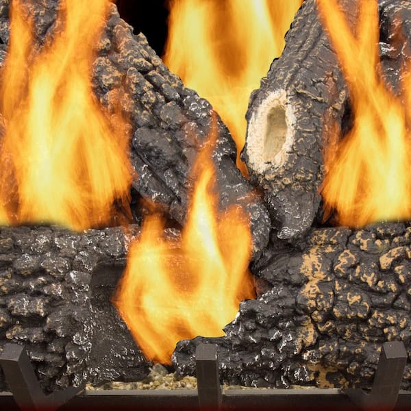 Pleasant Hearth Arlington Ash 24 in. Vented Gas Log Set VL-AA24D - The Home  Depot