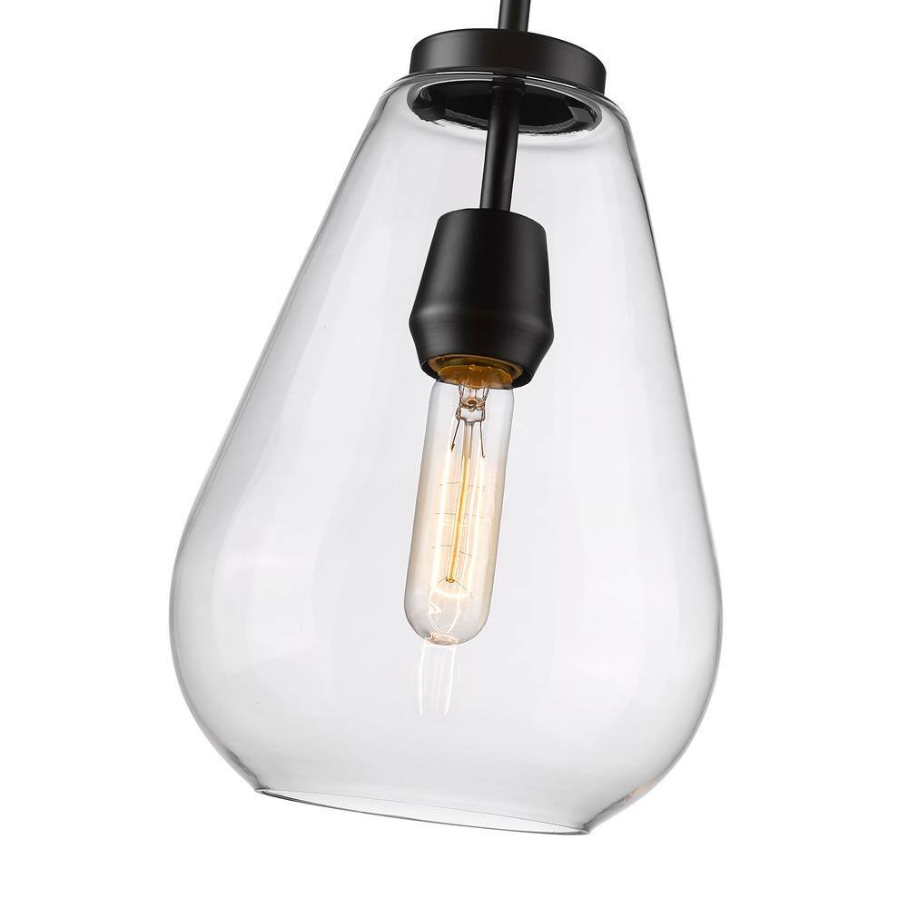 Ayra Matte Black and Nickel Glass Pendant Light