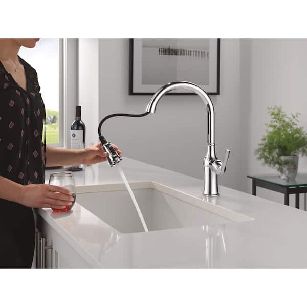Faryn Chrome 16.5 in. H Pull Down Sprayer Kitchen Faucet with 360° Swivel Spout