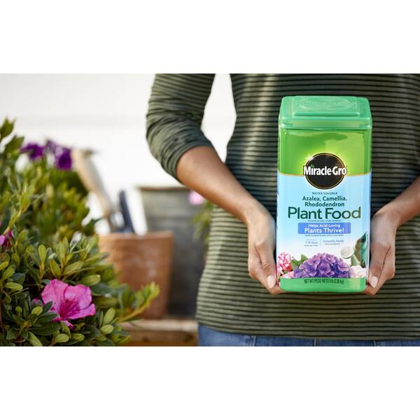 Miracle-Gro 5 lbs. Water-Soluble Azalea Camellia and Rhododendron